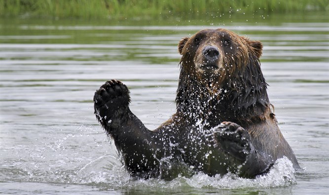 החוברת של אהובה by adi oved - Ourboox.com
