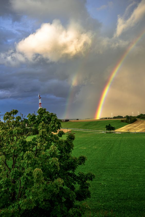 CITATIONS SUR LA VIE by Marta Chudecka - Ourboox.com