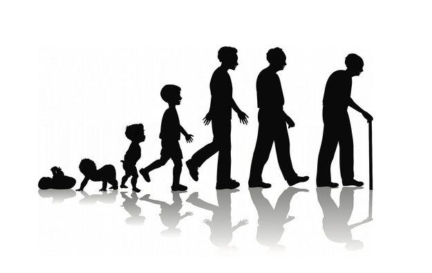 CITATIONS SUR LA VIE by Marta Chudecka - Ourboox.com