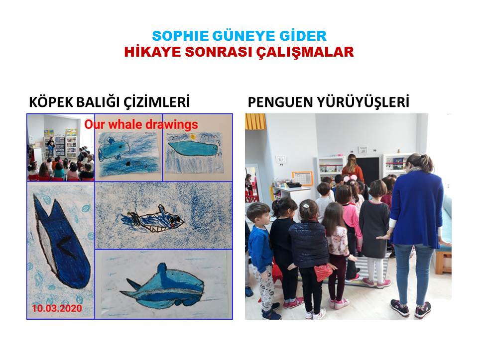 EMEL ŞAN SOPHIE GOES SOUTH PROJESİ FAALİYETLERİ by Emel san - Ourboox.com