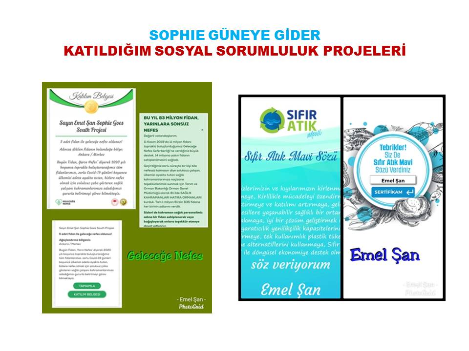 EMEL ŞAN SOPHIE GOES SOUTH PROJESİ FAALİYETLERİ by Emel san - Ourboox.com