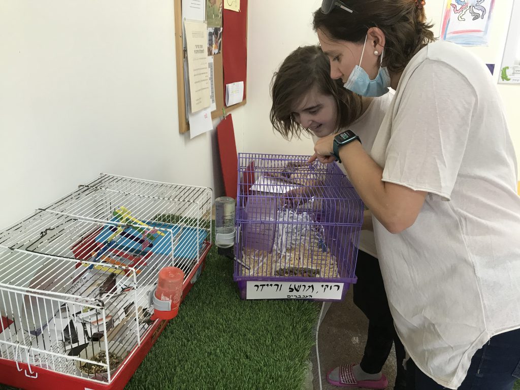 החוברת של שירה by adi oved - Ourboox.com