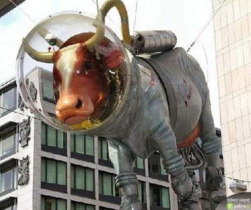 Les proverbes by Maciej Rubinkiewicz - Ourboox.com