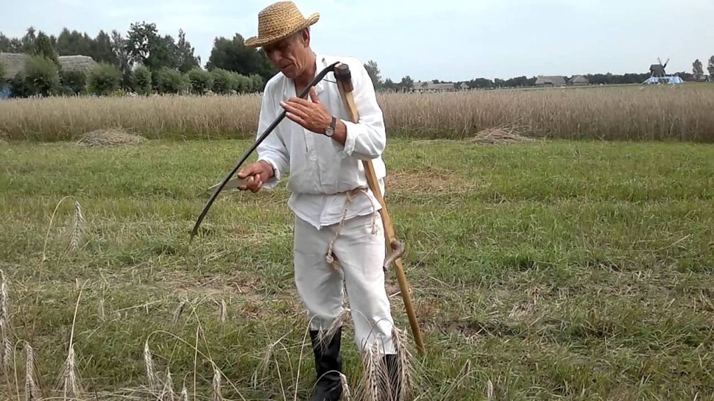 Les proverbes by Maciej Rubinkiewicz - Ourboox.com