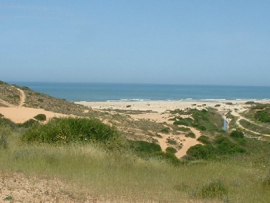 הספר הדיגיטלי- קבוצה 14 by stav fichman - Ourboox.com