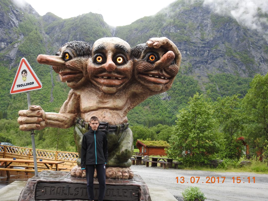 Voyage en Norvege by Kamil Watut - Ourboox.com