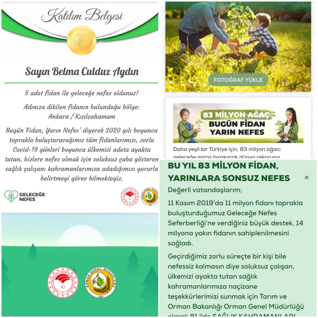 BELMA CULDUZ AYDIN SOPHIE GOES SOUTH PROJESİ by Belma Aydin - Ourboox.com