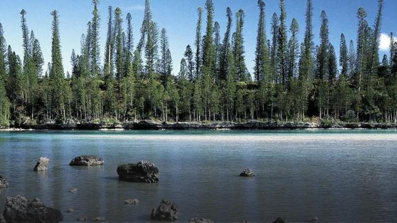 voyages dans les territoires dépendants de la france by NS - Ourboox.com