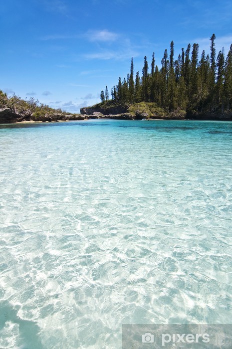 voyages dans les territoires dépendants de la france by NS - Ourboox.com