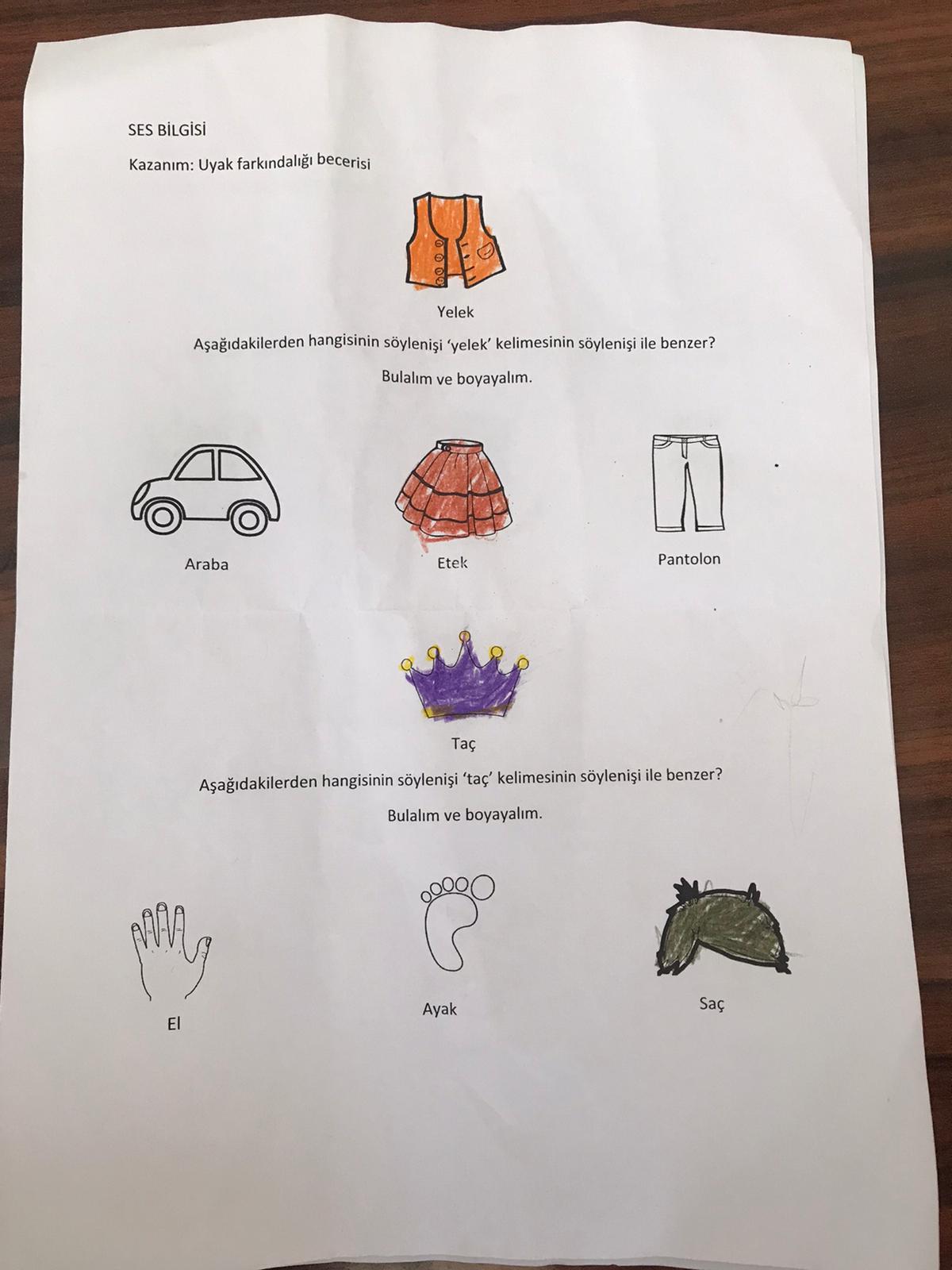 Early Literacy by Nihal EROĞLU - Ourboox.com