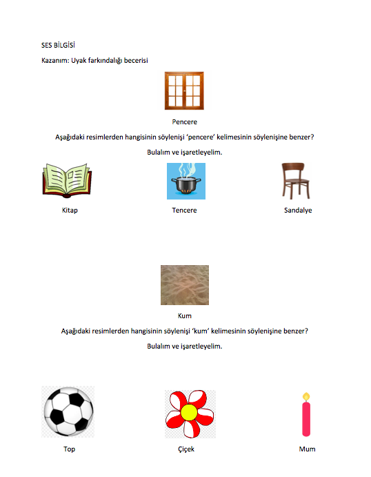 Early Literacy by Nihal EROĞLU - Ourboox.com