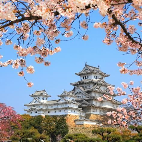 Les 9 des plus beaux endroits à visiter au Japon by Karolina Kasperska - Ourboox.com