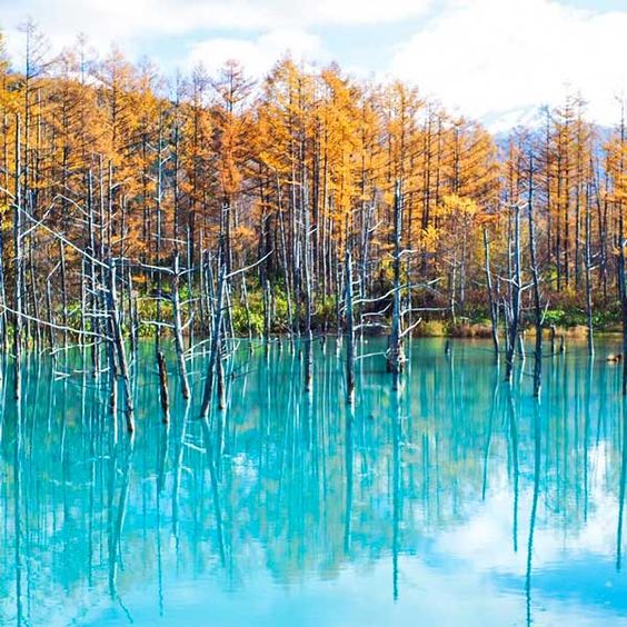 Les 9 des plus beaux endroits à visiter au Japon by Karolina Kasperska - Ourboox.com