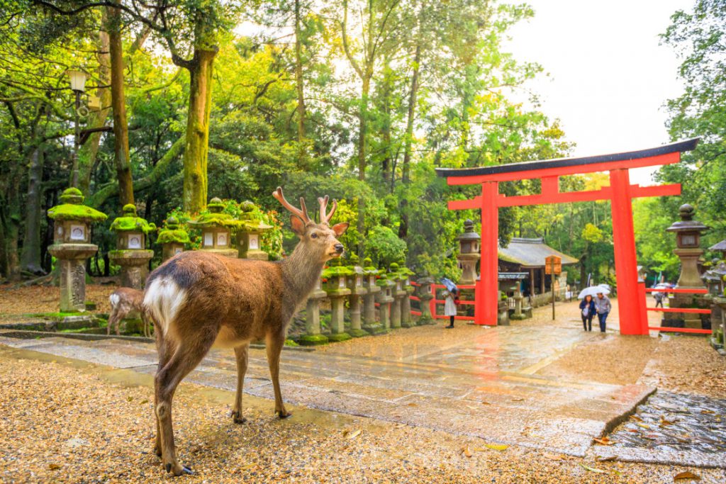 Les 9 des plus beaux endroits à visiter au Japon by Karolina Kasperska - Ourboox.com
