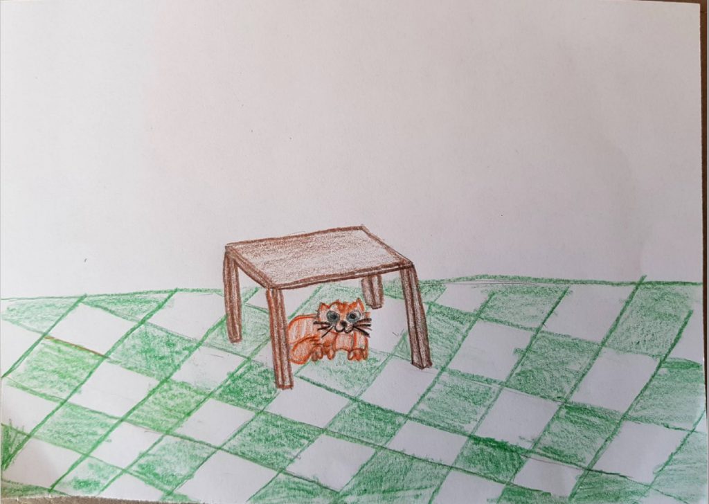 ENGHISH VERBS by Emma Cane - Illustrated by ? I bambini della 3 B   - Ourboox.com