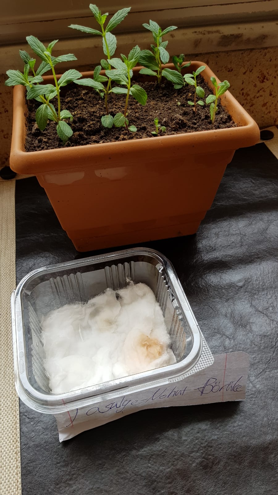 3/C SINIF ETKİNLİKLERİ by HÜRREM ŞENGÜN - Ourboox.com