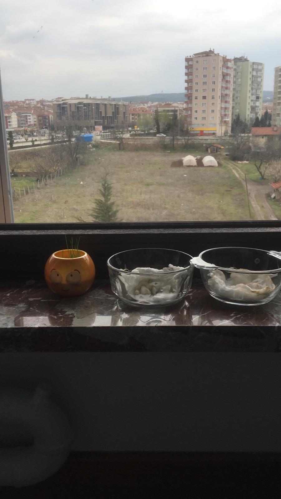 3/C SINIF ETKİNLİKLERİ by HÜRREM ŞENGÜN - Ourboox.com