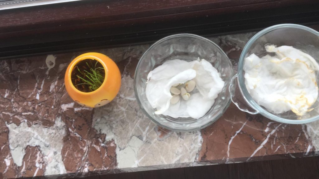 3/C SINIF ETKİNLİKLERİ by HÜRREM ŞENGÜN - Ourboox.com