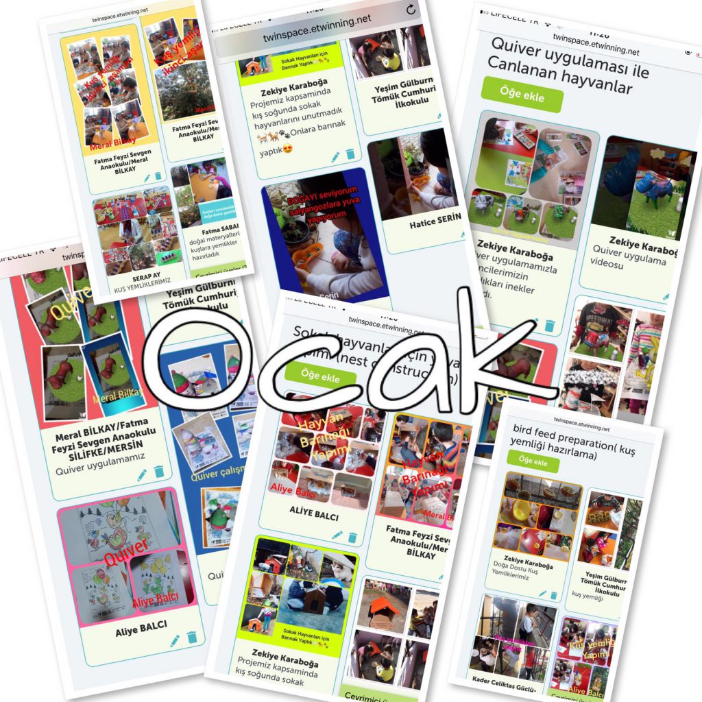 Doğa Benim İçinde, Ben Doğanın İçinde Proje Sonu e-book by yesimgulburnu - Illustrated by Nature in me,I in Nature - Ourboox.com