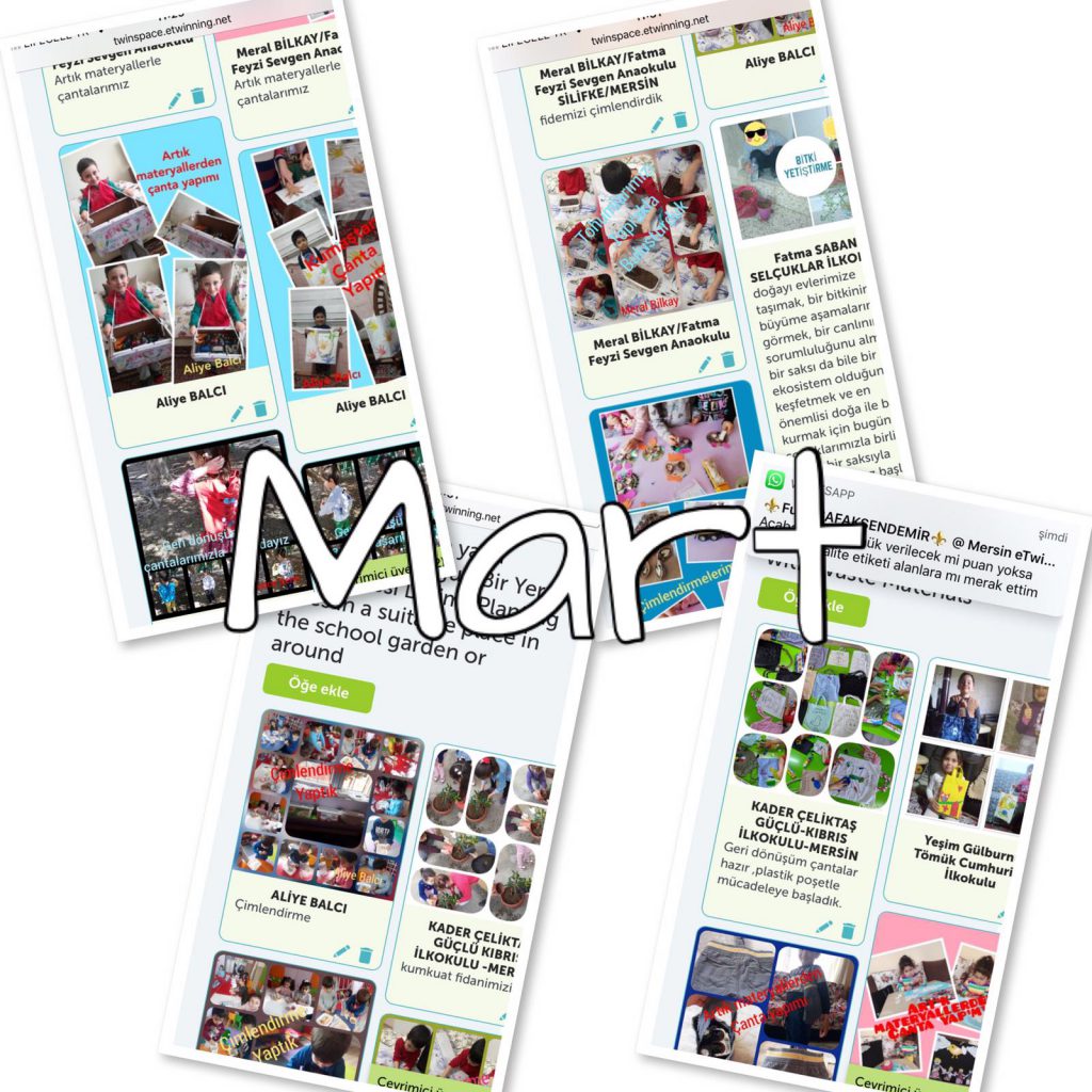 Doğa Benim İçinde, Ben Doğanın İçinde Proje Sonu e-book by yesimgulburnu - Illustrated by Nature in me,I in Nature - Ourboox.com