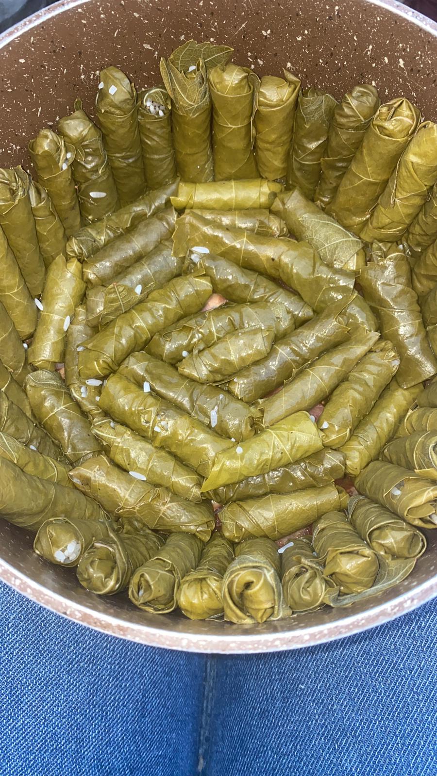 יומן קורונה by senaia - Ourboox.com