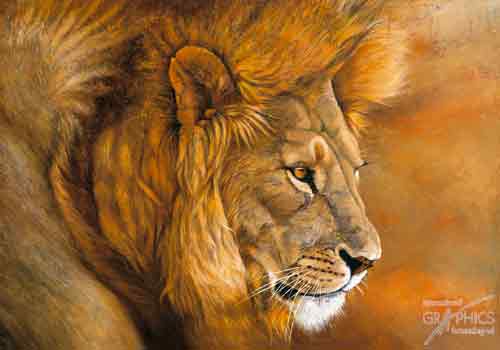 ארץ המעשיות של ג’3 by orin malka - Ourboox.com