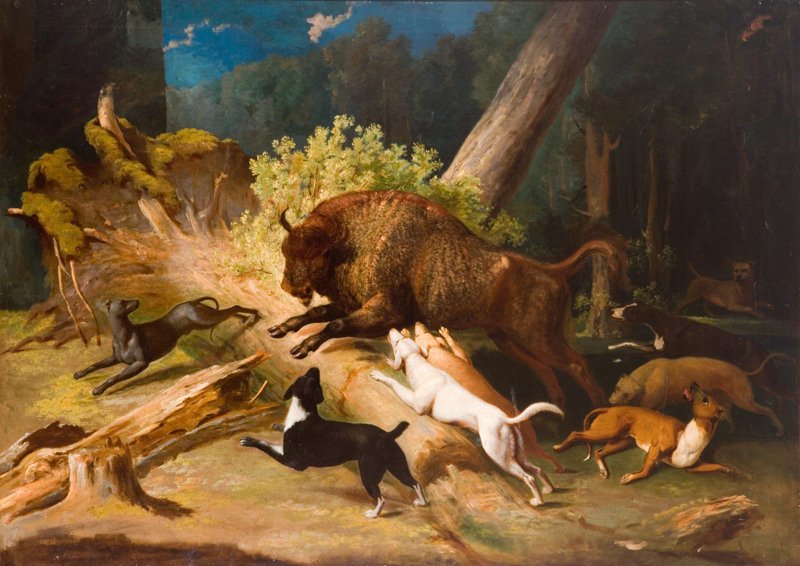 Musing is Amusing e Twinning project by Esra Bilgili - Ourboox.com