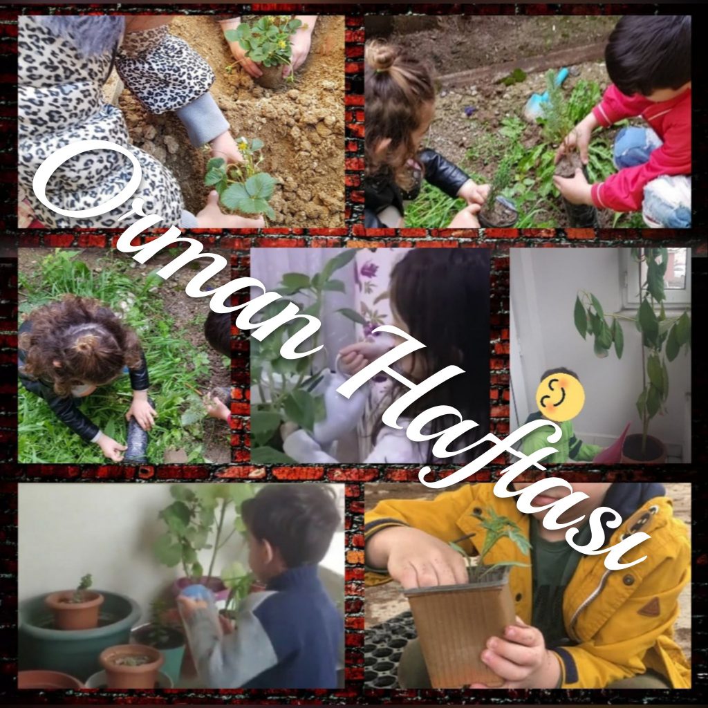 PİLLERİ TOPLUYORUM, DOĞAYI KORUYORUM Aylık Çalışma Raporları by Sibel SARIBIYIK - Illustrated by Kasım, Aralık, Ocak, Şubat, Mart, Nisan, Mayıs - Ourboox.com