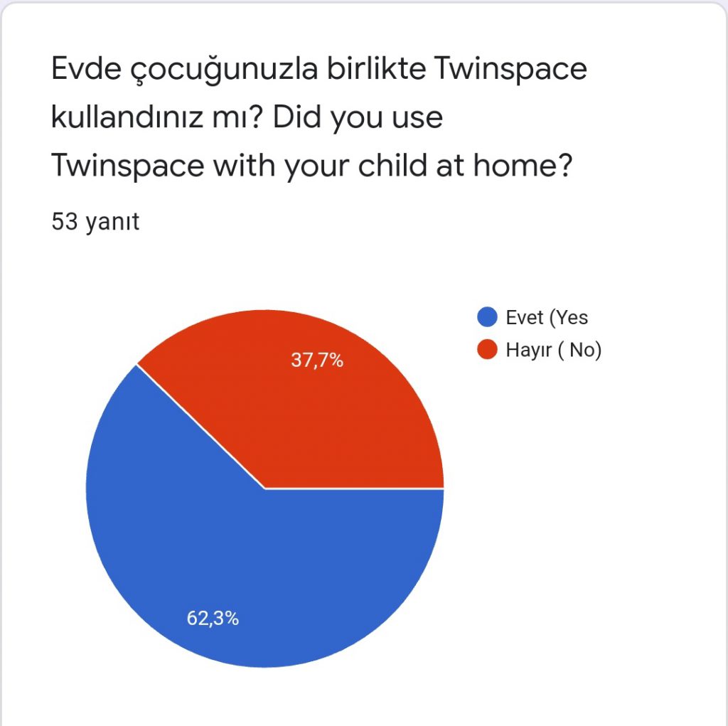 ANA DİLİMDE YAZMA ATÖLYEM VELİ SON ANKETT by AYŞE AK - Illustrated by AYŞE YILDIRIM - Ourboox.com