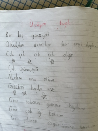 POEMS FROM THE PENCIL OF OUR STUDENTS BELONGING OUR PROJECT by Kazım Öğütlü - Ourboox.com