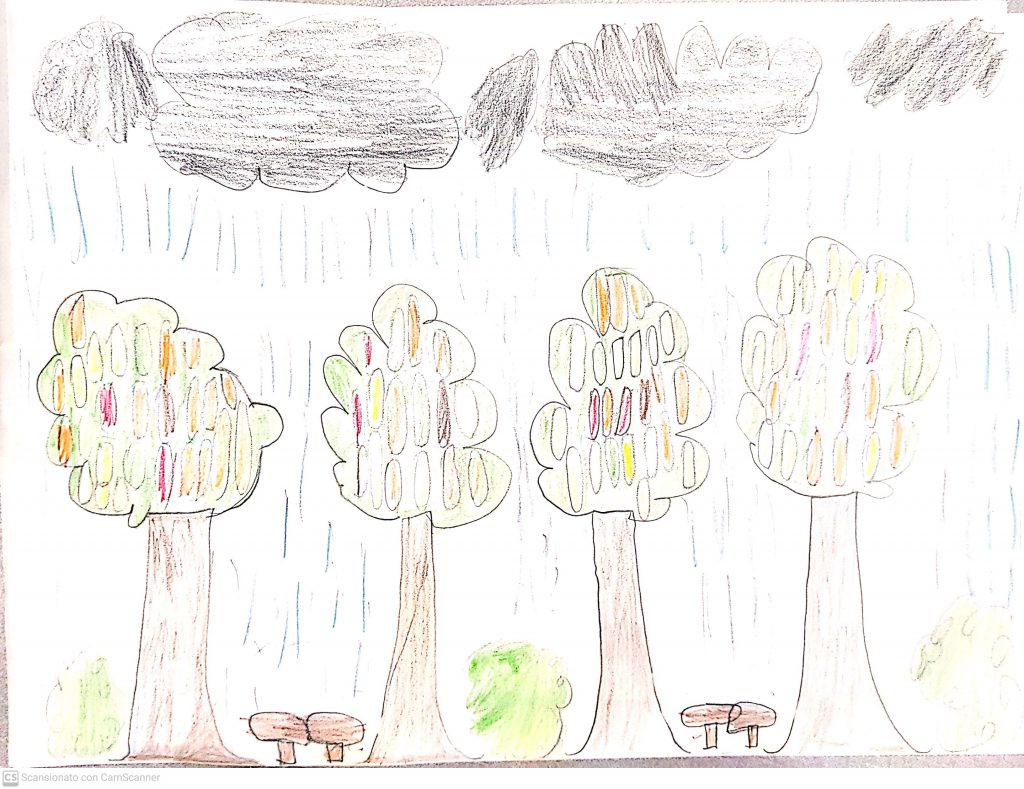 PAESAGGI AUTUNNALI CLASSE III B by Scuola Primaria E.De Amicis Montepulciano - Illustrated by CLASSE IIIB - Ourboox.com