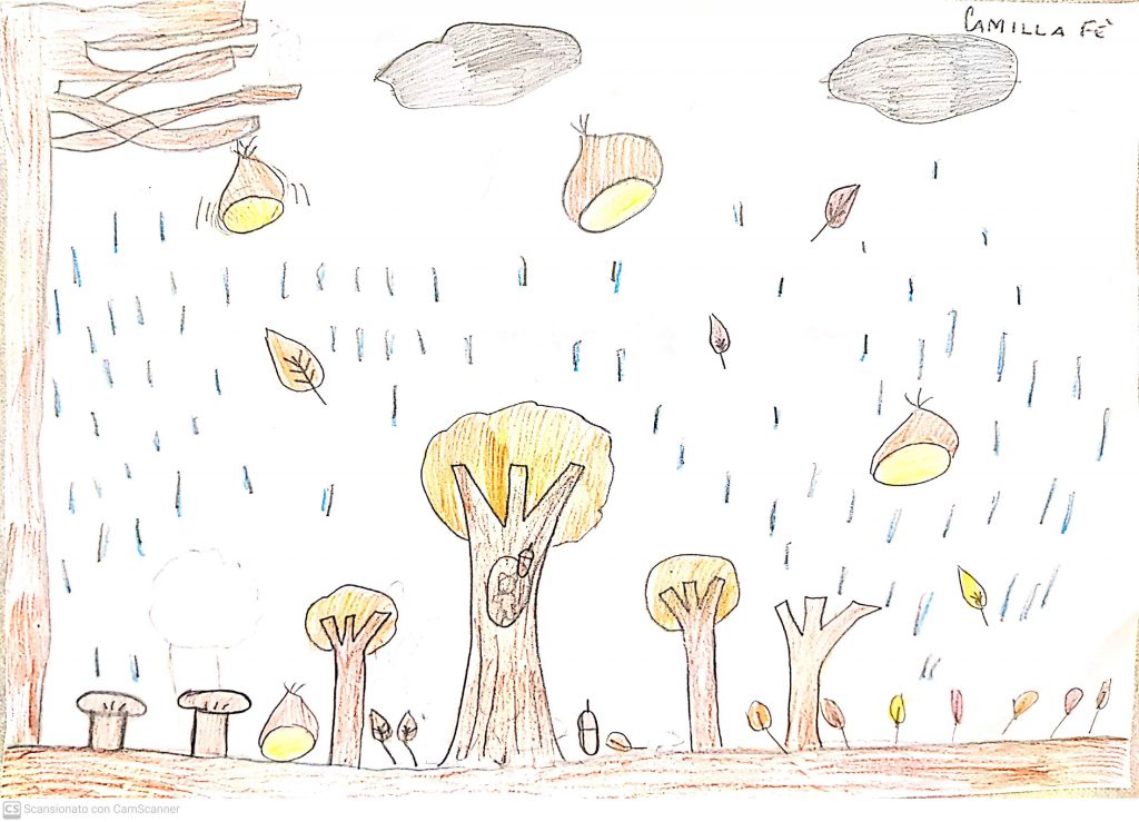 PAESAGGI AUTUNNALI CLASSE III B by Scuola Primaria E.De Amicis Montepulciano - Illustrated by CLASSE IIIB - Ourboox.com