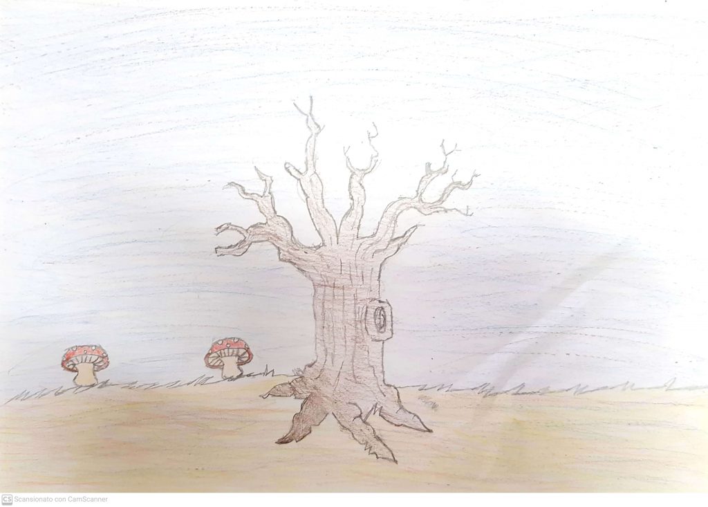 PAESAGGI AUTUNNALI CLASSE III B by Scuola Primaria E.De Amicis Montepulciano - Illustrated by CLASSE IIIB - Ourboox.com