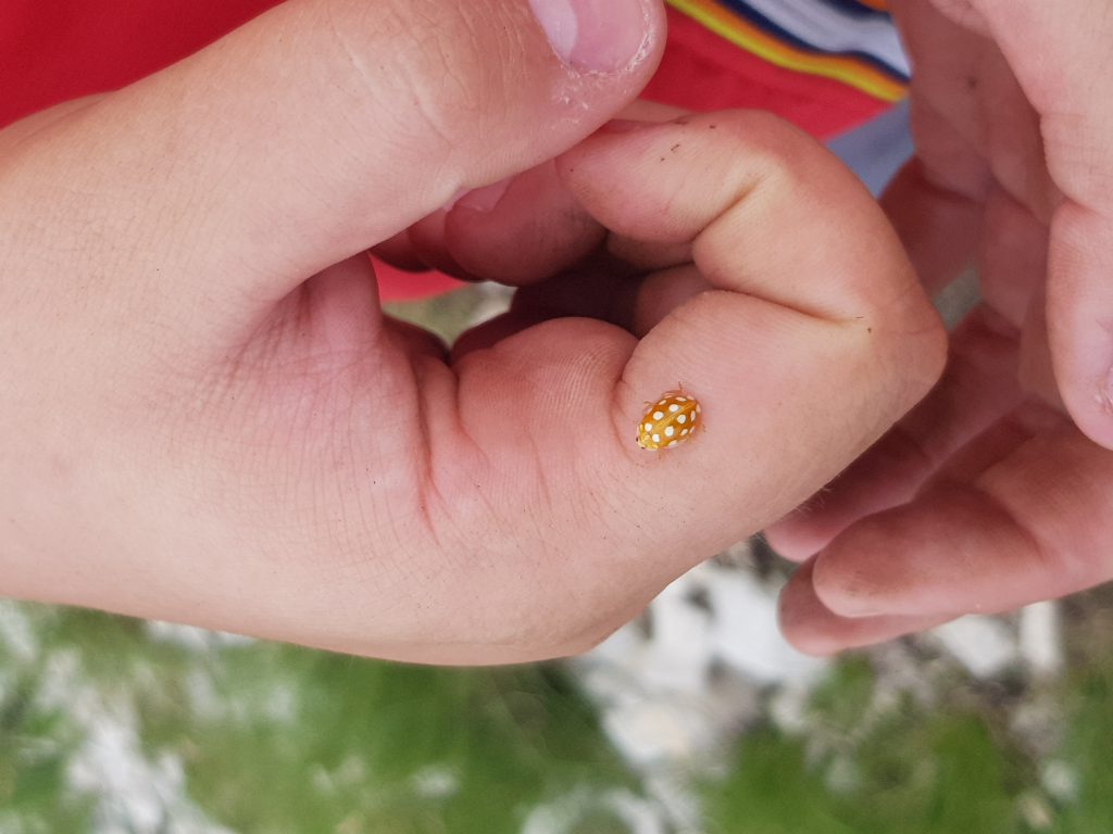 Le mie vacanze by Scuola Primaria E.De Amicis Montepulciano - Ourboox.com