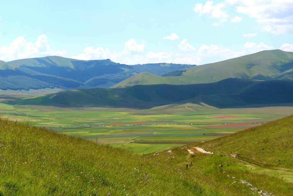 Le mie vacanze by Scuola Primaria E.De Amicis Montepulciano - Ourboox.com