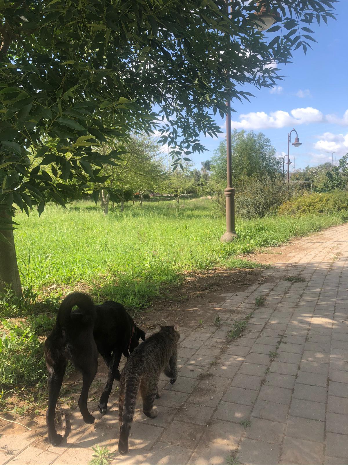 Together forever by aya fainberg - Ourboox.com