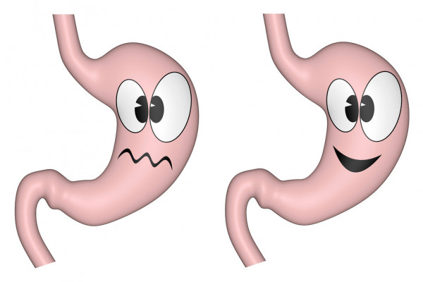 L’APPARATO DIGERENTE di BEATRICE ROSSET by Beatrice Rosset - Ourboox.com