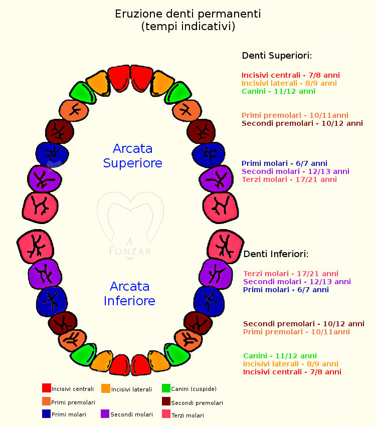 L’APPARATO DIGERENTE di BEATRICE ROSSET by Beatrice Rosset - Ourboox.com