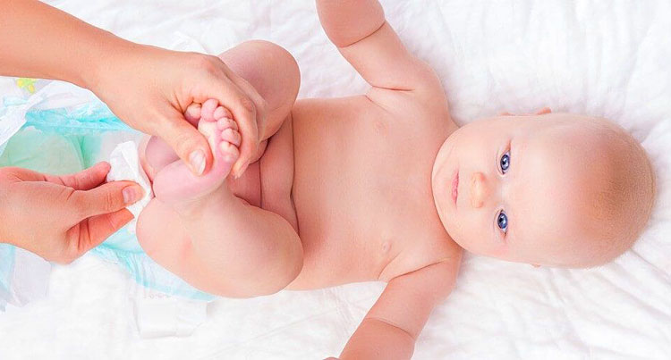 L’APPARATO DIGERENTE di BEATRICE ROSSET by Beatrice Rosset - Ourboox.com