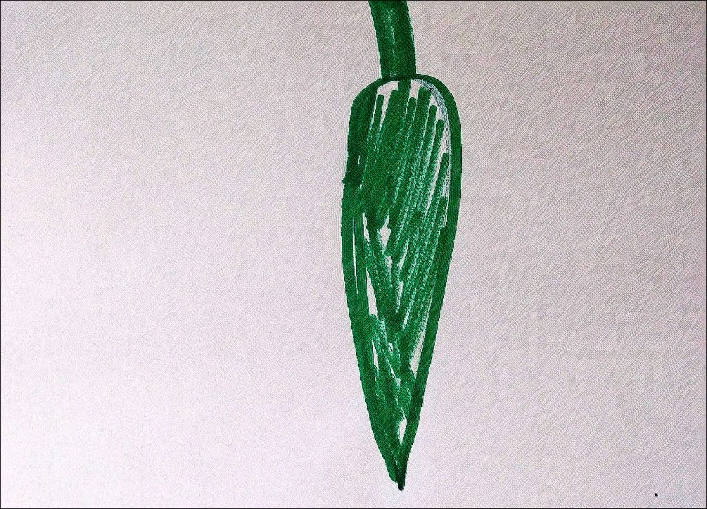 עצים בשטוזים by Yana Skoletsky - Illustrated by אחינועם הרוש ויאנה סקולצקי - Ourboox.com