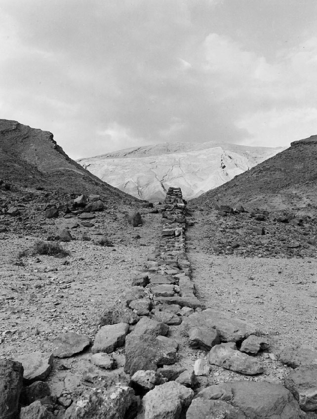 עריף א-נאקה, סיני