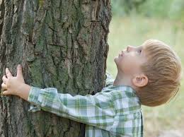 איך זה להיות עץ ? by nofar - Illustrated by נופר נזרי - Ourboox.com