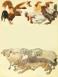 מעשה בזאב רעב by tair moati - Illustrated by טקסט מהאתר כאן לומדים, עברית לכיתה ה - Ourboox.com