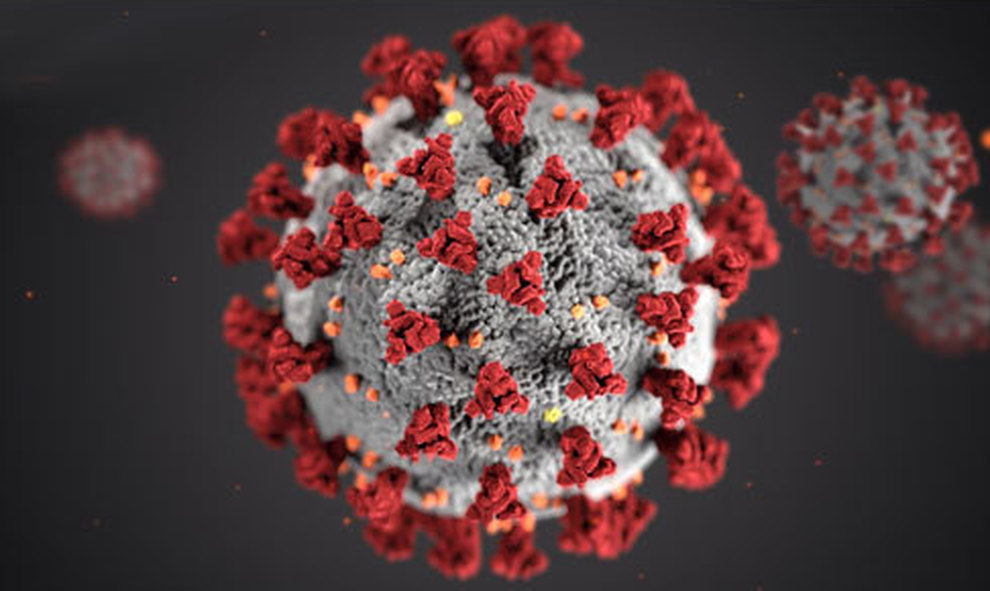 GIOVANNI E IL VIRUS by stefania corrente - Ourboox.com