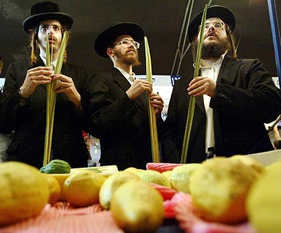 לדון לכף זכות by noyaatias - Ourboox.com