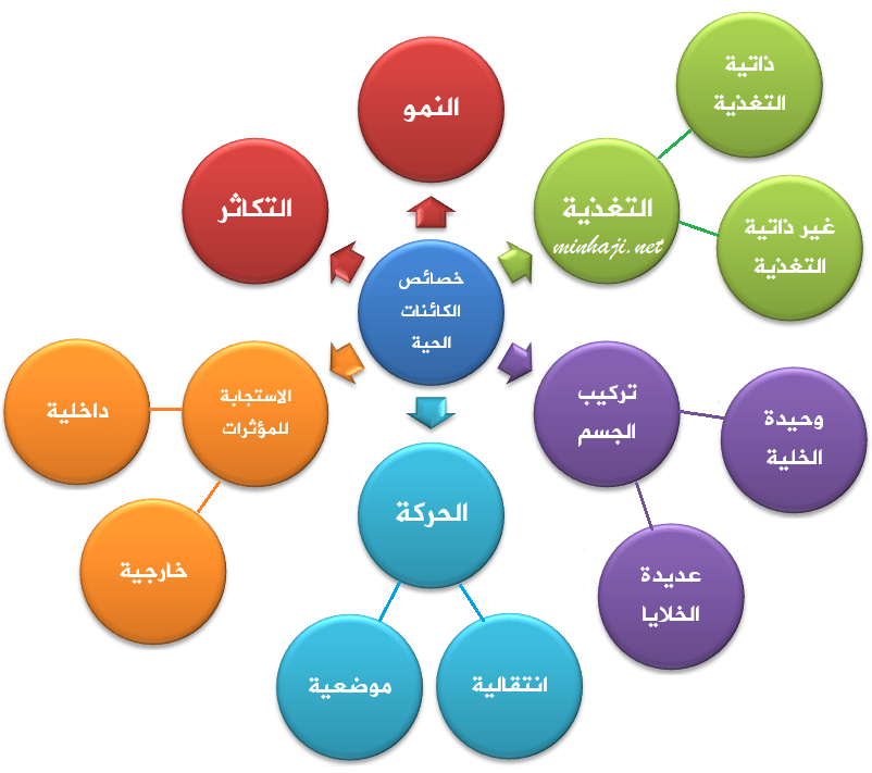 عالم الخلية by sara titi - Illustrated by مرسيل ملحم , سارة تيتي , فايزة عابد - Ourboox.com