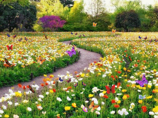 فصل الربيع by hananahmad - Illustrated by حنان احمد - Ourboox.com