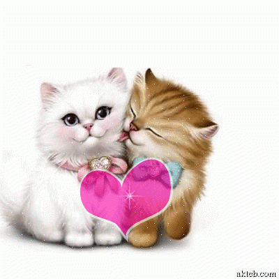 salam by salam malabi - Ourboox.com