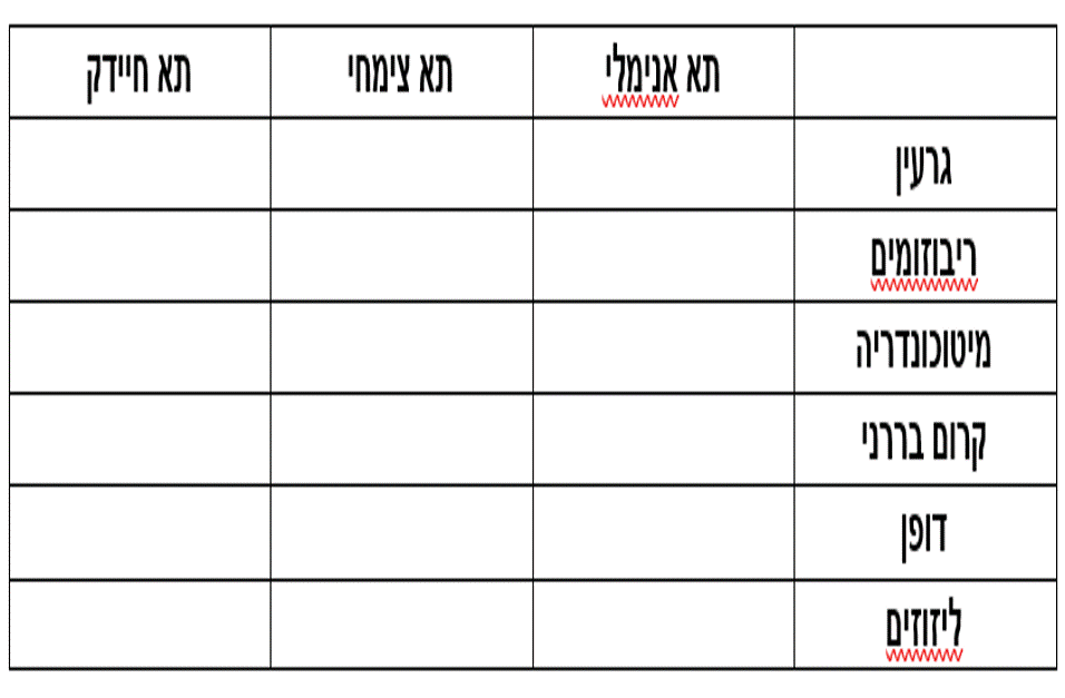 הוספת תמונה מצריכה שמירה של התמונה הייעודית בצורה של GIF