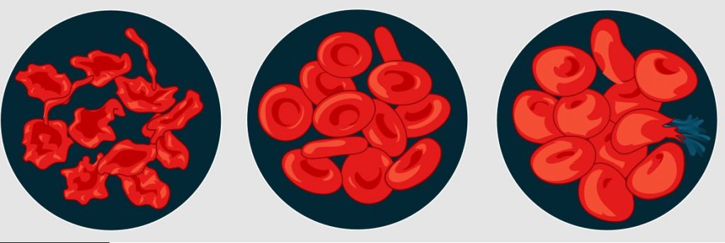 מנחי מרכז למידה מתוקשב – ניסיון by Sivan Pi. - Ourboox.com